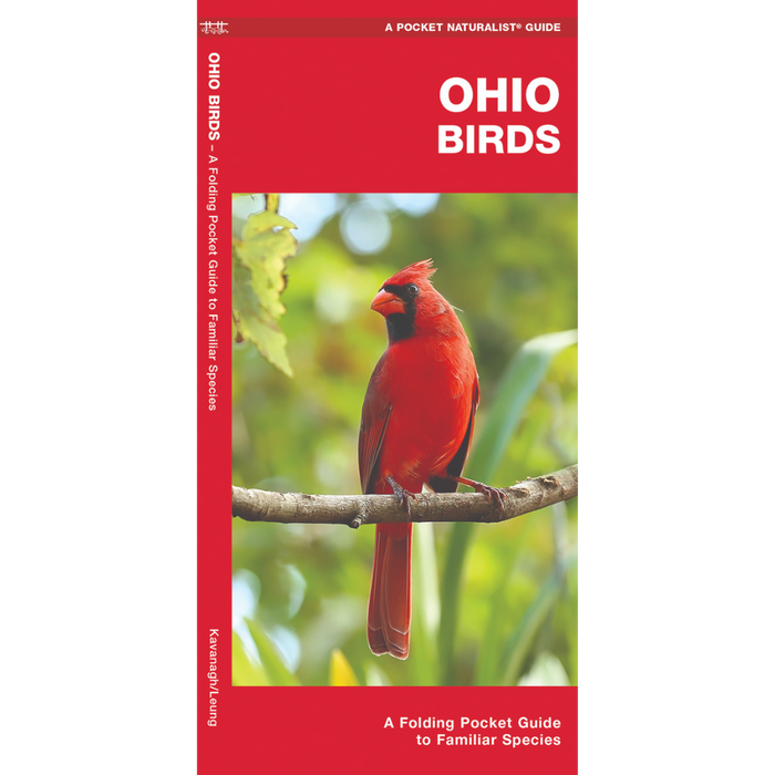 Ohio Birds- Pkt Nat