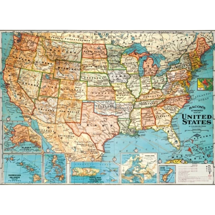 Vintage USA Map Poster