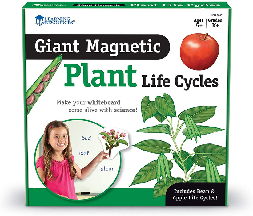 Plant Life Cycle-Magnetic