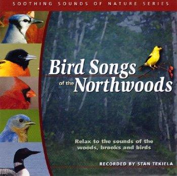 Bird Songs of Northwoods CD