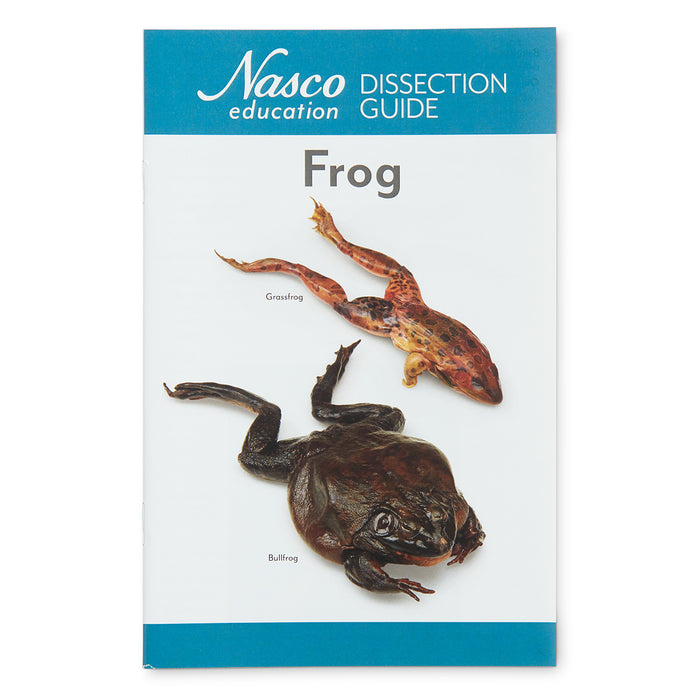 Frog Dissection Guide