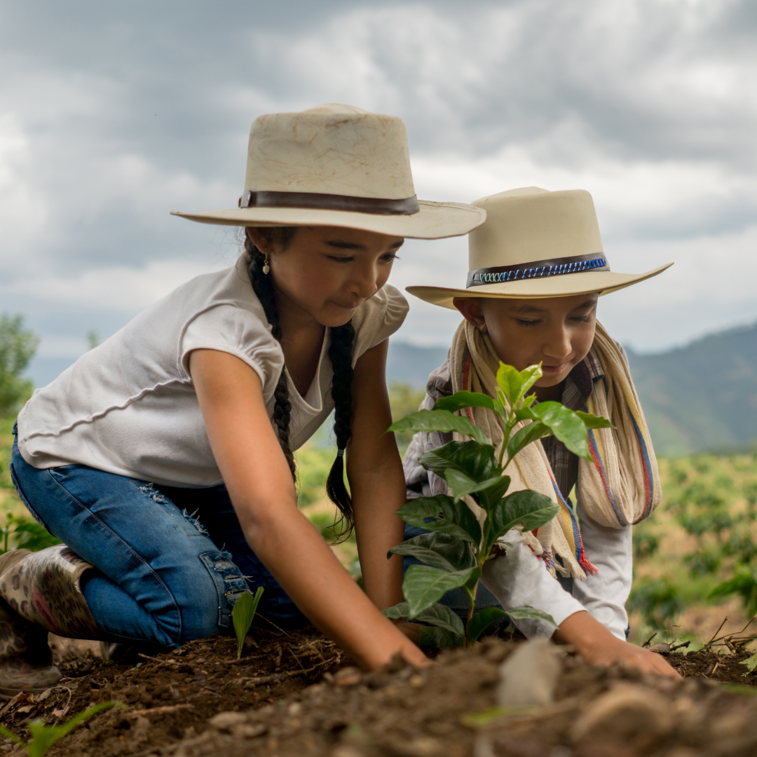 Let's Learn About Botany