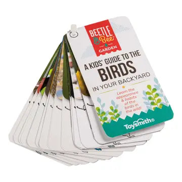 Little Birder Set