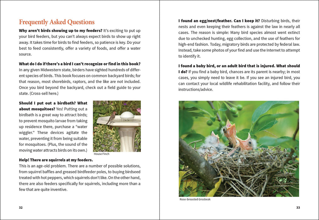 Midwest Birding for Beginners