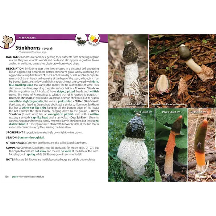 Mushrooms of the Upper Midwest