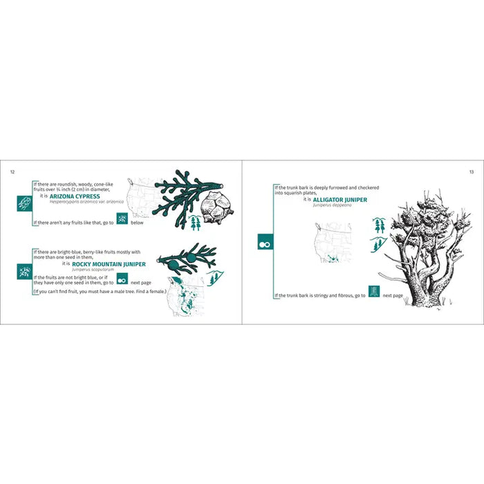 Rocky Mountain Tree Finder