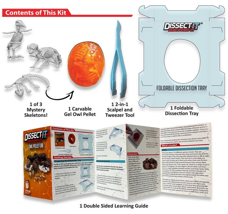 Discover-It Dissect It Owl Pellet Lab