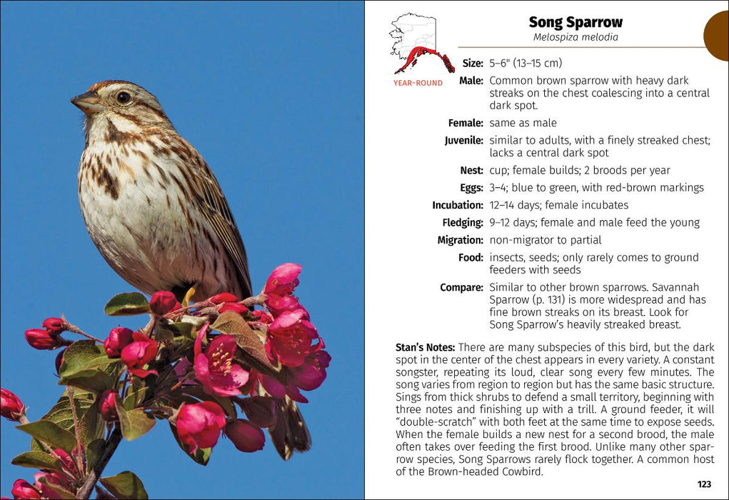Birds of Alaska