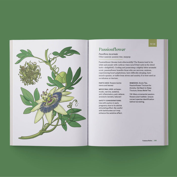 Little Encyclopedia Of Herbal Medicine