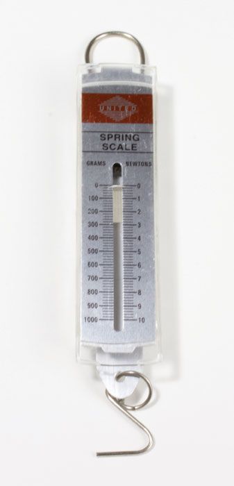 Weight Spring For Lab Lab Supplies — Nature's Workshop Plus
