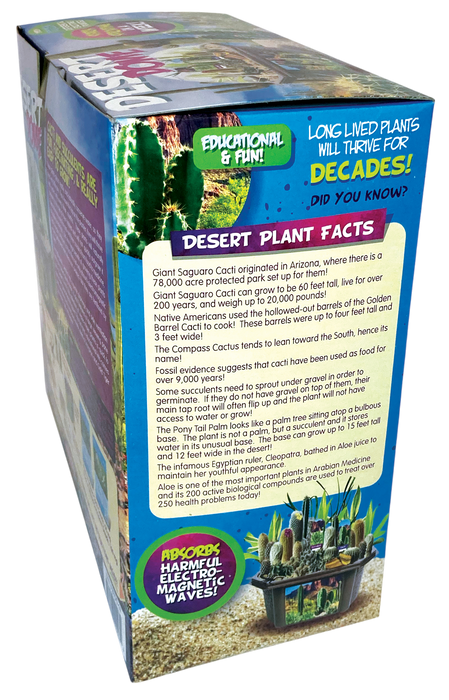Desert Dome Biosphere Terrarium