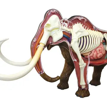 4D Woolly Mammoth Model