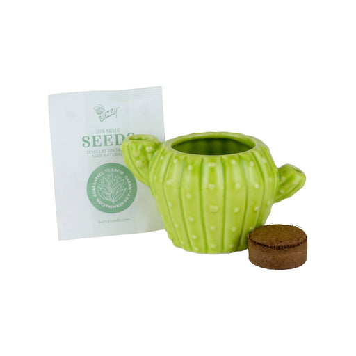 buzzy succulent grow kit Cactus Grow Kit — Nature's Workshop Plus