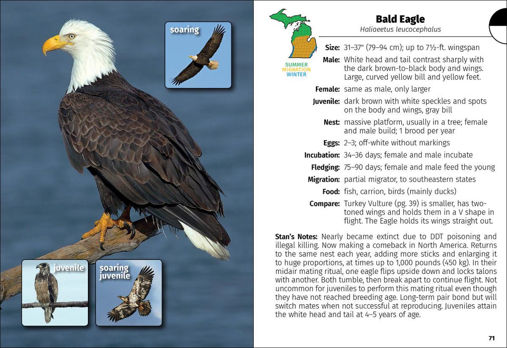 Birds of Michigan