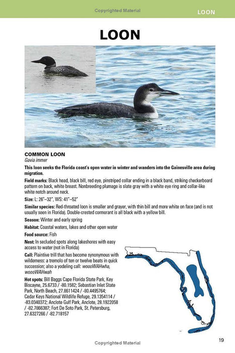 Birding Florida: Falcon Guide