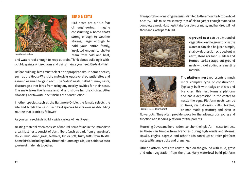 Midwest Birding for Beginners