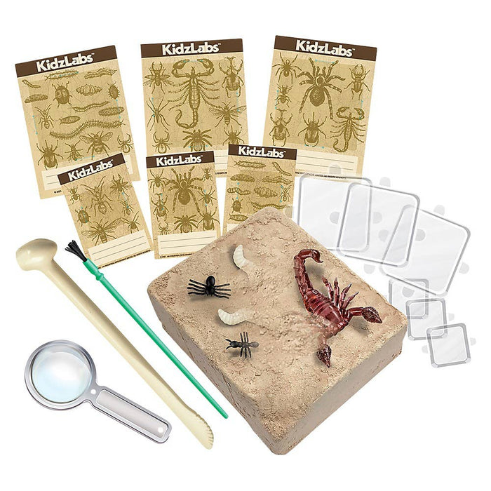Creepy Crawly Digging Kit