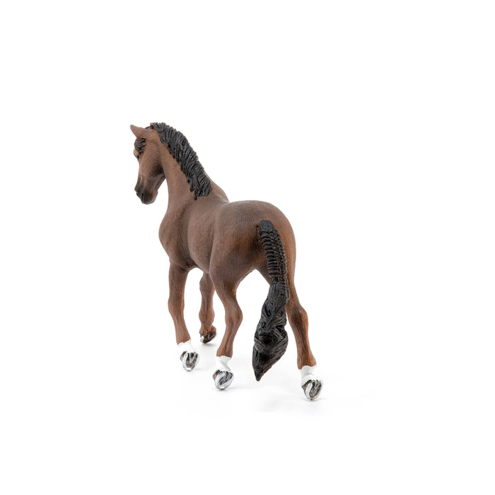Trakehner Gelding
