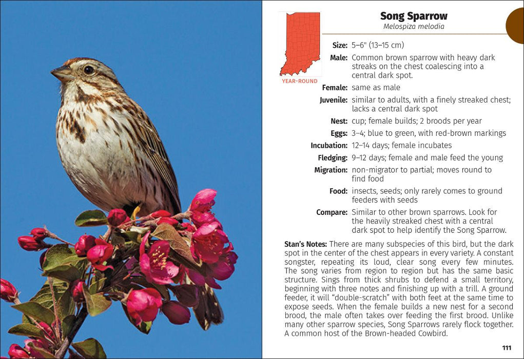 Birds of Indiana