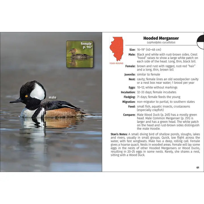 Birds of Illinois