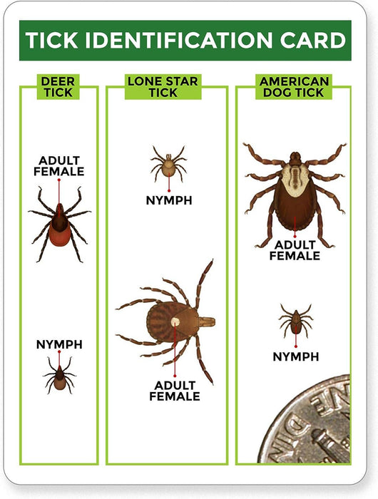 Tick Remover Value 3 Pack