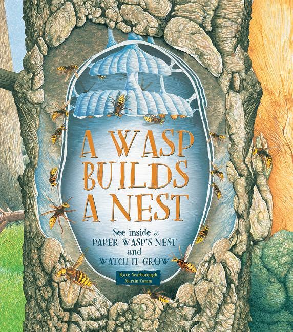 Wasp Builds a Nest