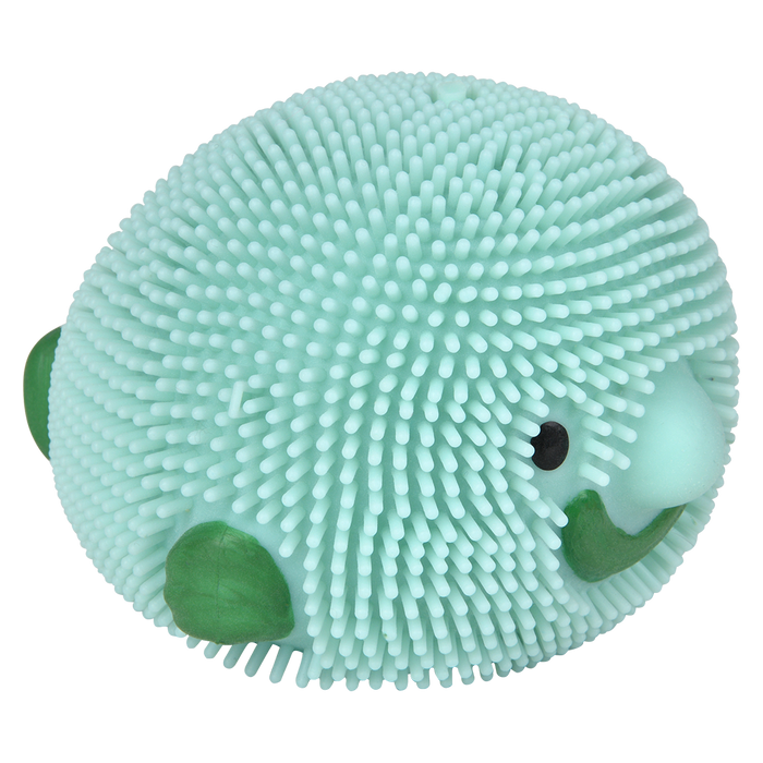 Blobfish Puffer