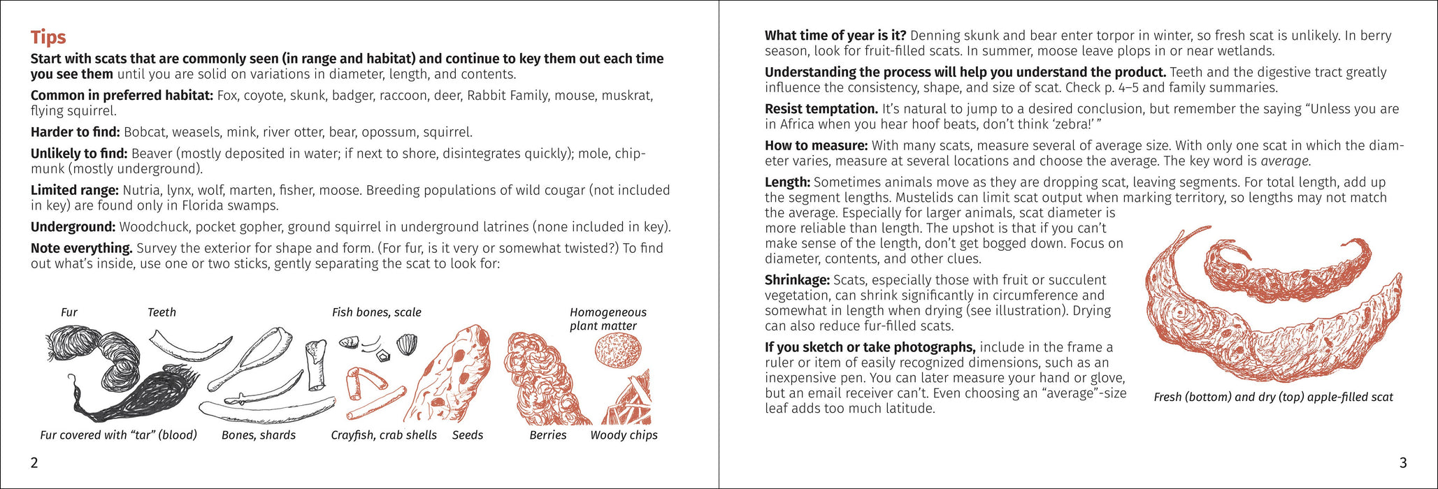 Scat Finder 2nd Edition