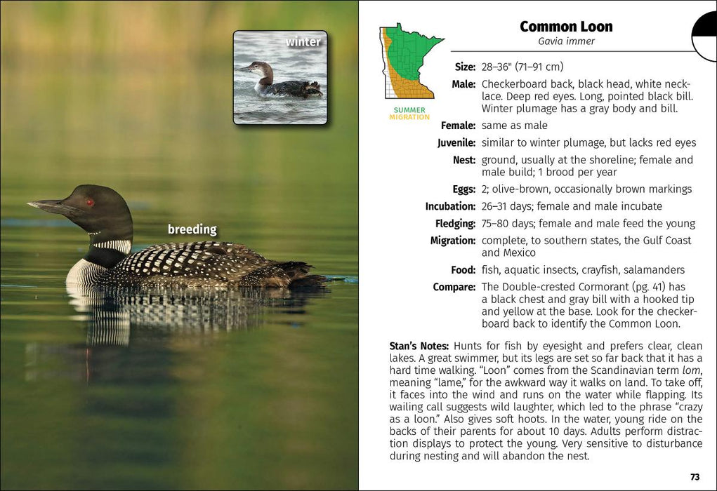 Birds of Minnesota
