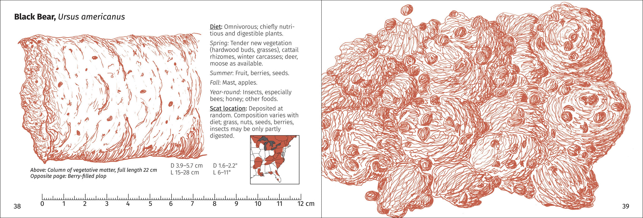 Scat Finder 2nd Edition