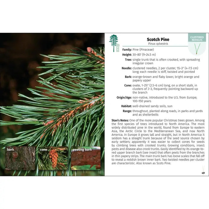 Trees of Pennsylvania