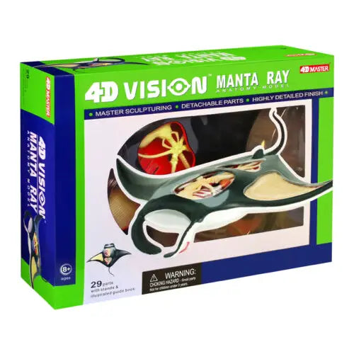 4D Manta Ray