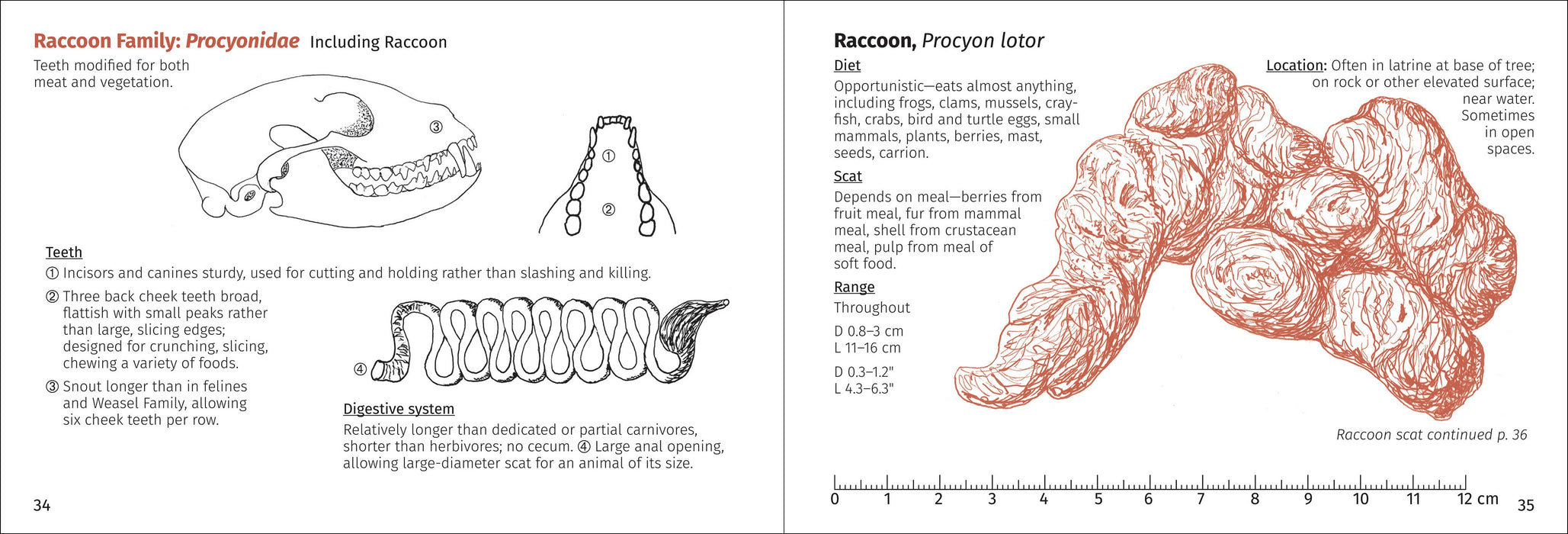 Scat Finder 2nd Edition