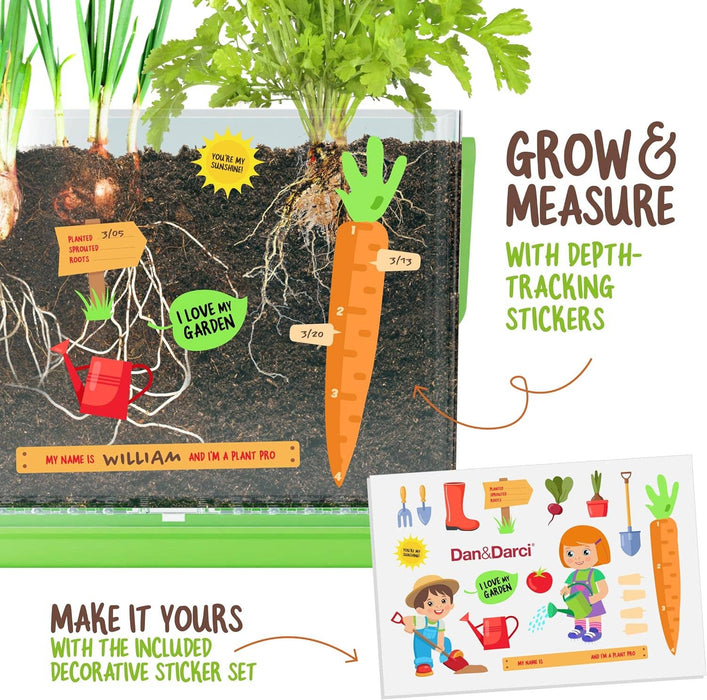 Building Roots Science Kit Root Viewer Kit for Kids — Nature's Workshop Plus