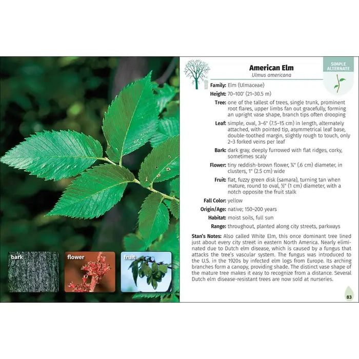 Trees of Pennsylvania