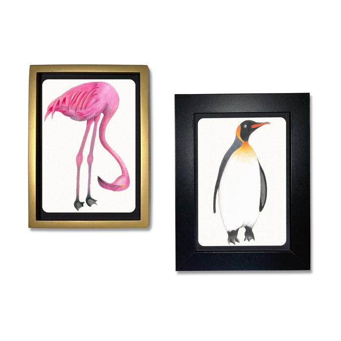 Bird Coloring Postcards
