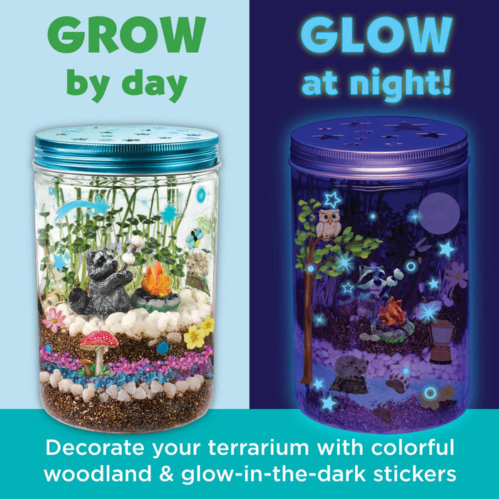 Grow N Glow Terrarium