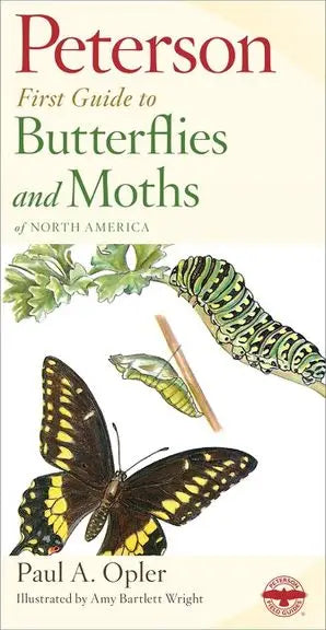 Butterflies & Moths 1st Guide