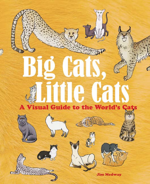 Big Cats, Little Cats: A Visual Guide To The World's Cats