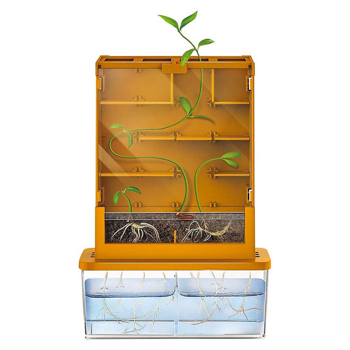 Grow-A-Maze