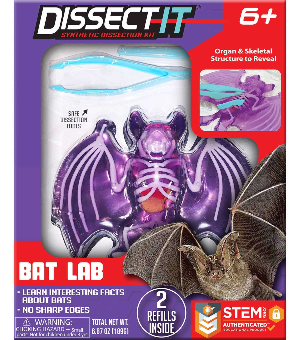 Dissect-It Bat Lab — Nature's Workshop Plus