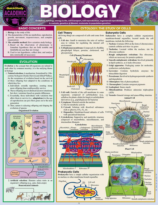 Biology Study Guide