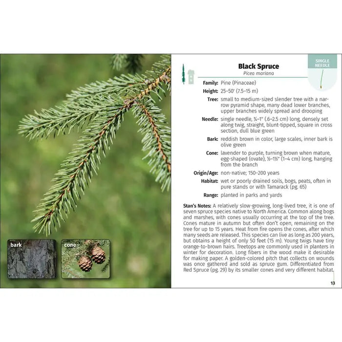 Trees of the Carolinas