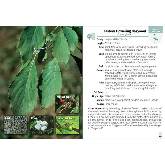 Trees of Pennsylvania