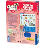 Visible Human Body