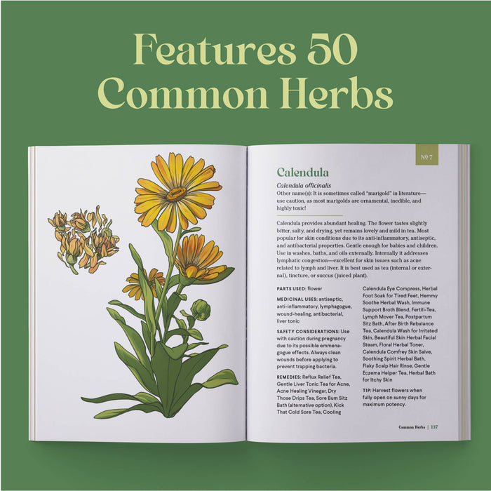 Little Encyclopedia Of Herbal Medicine