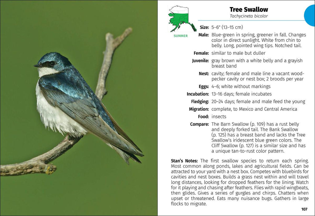 Birds of Alaska