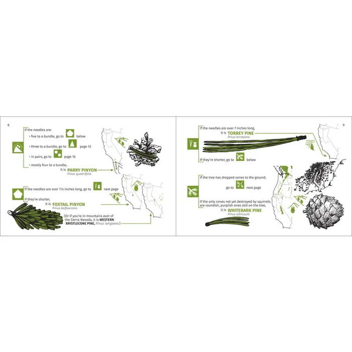 Pacific Coast Tree Finder