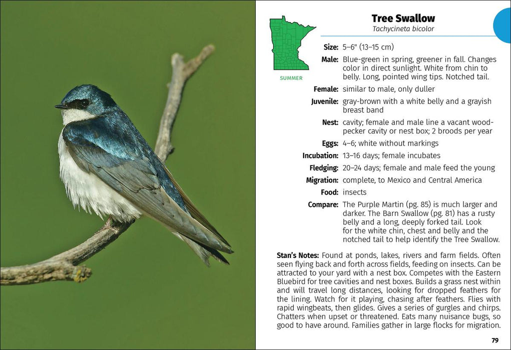 Birds of Minnesota
