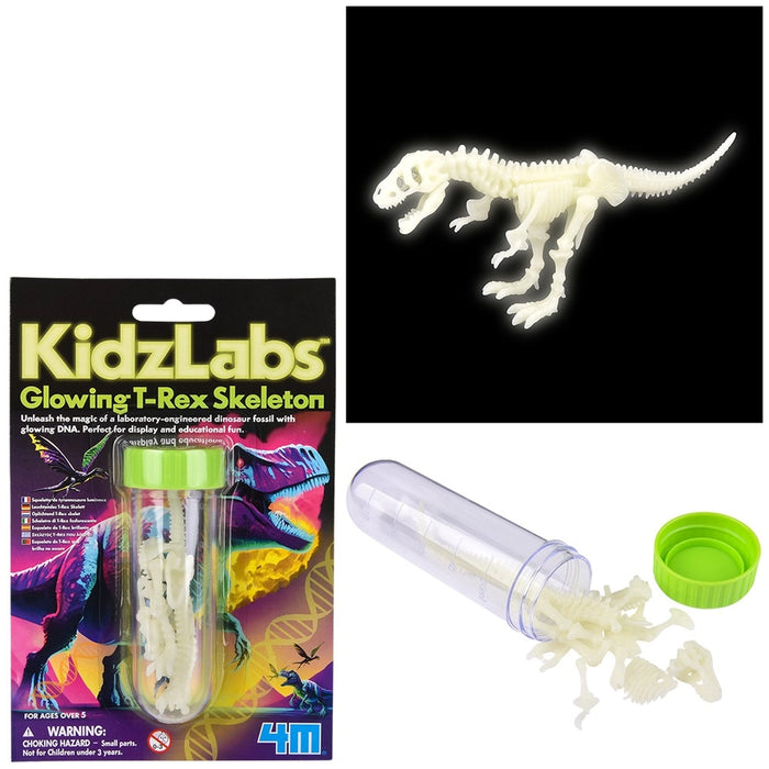 Dinosaur Skeleton
